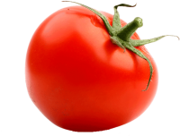 toppng.com-but-one-thing-all-tomatoes-have-in-common-tomato-901x688